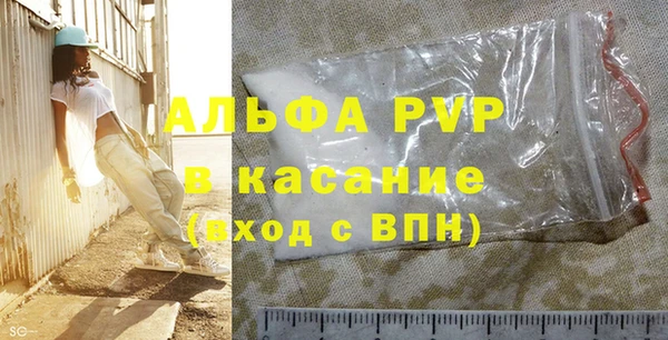 стафф Бородино