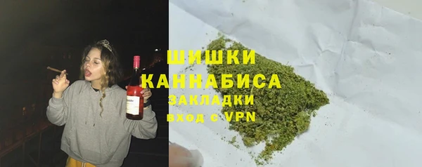 МДПВ Богородск
